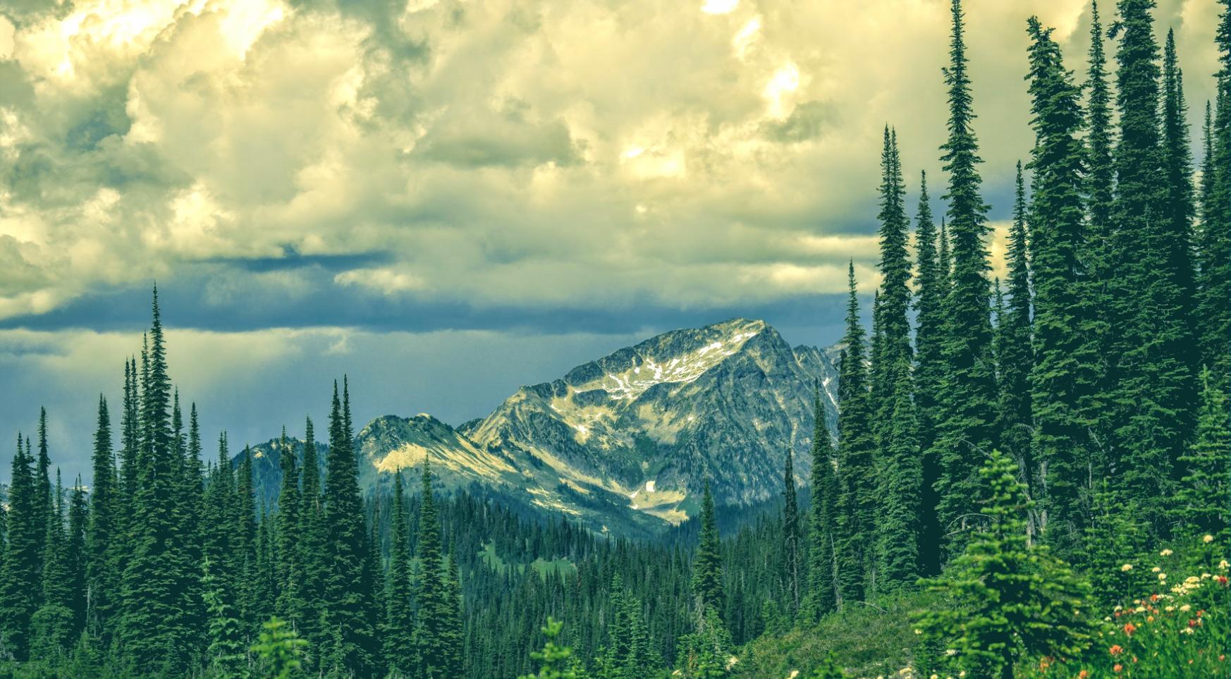 Group learning safety protocols outdoors