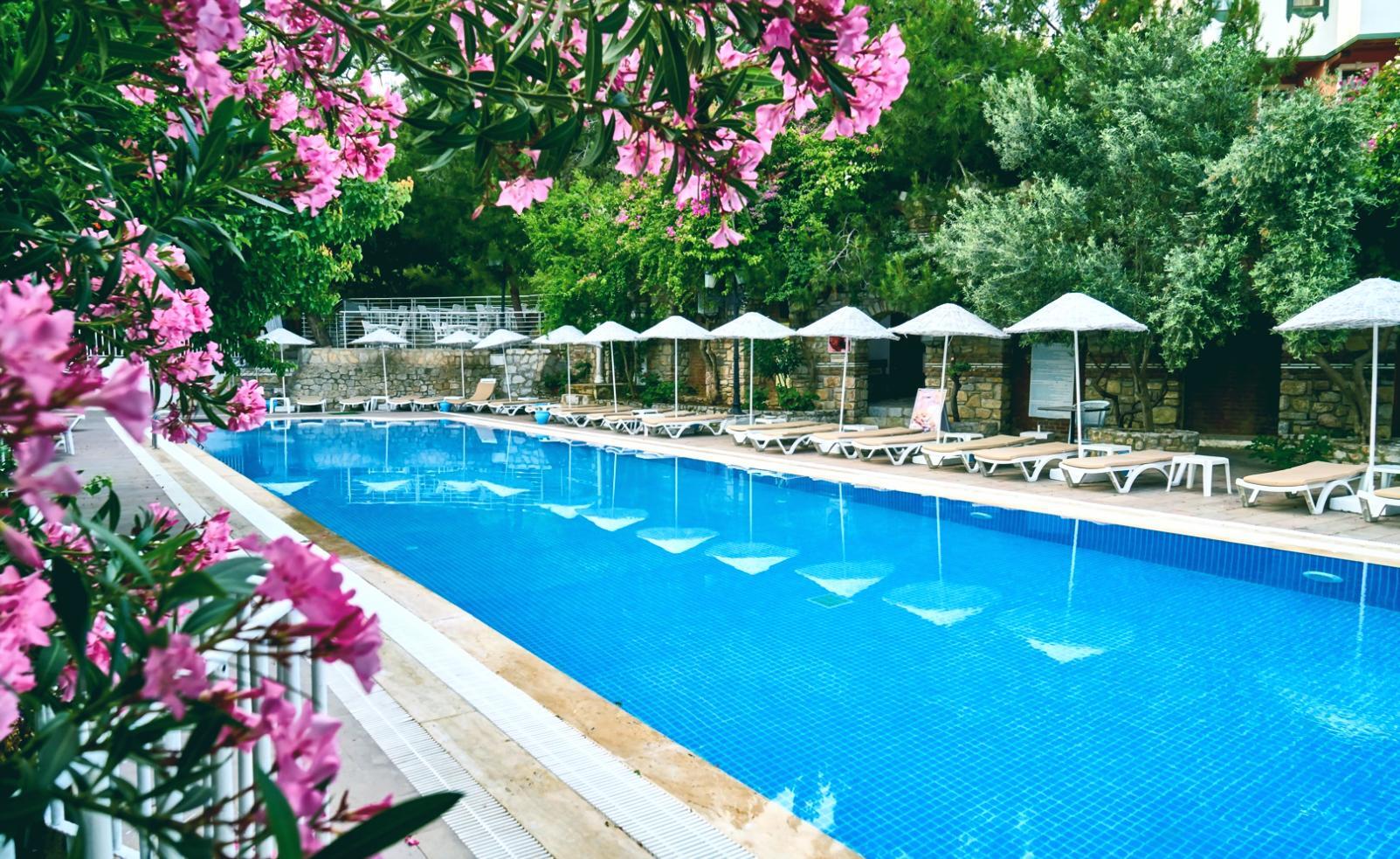 Field training exercise in mountain environment